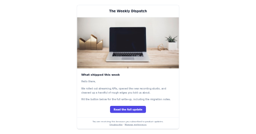 Newsletter Template preview