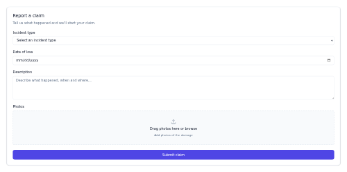 FNOL Form preview